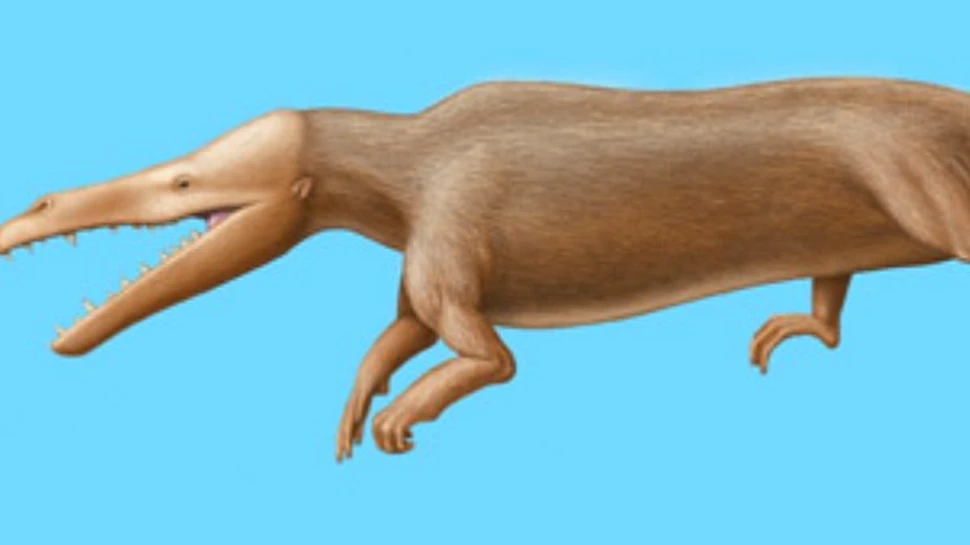 Balenele preistorice nasteau pe uscat