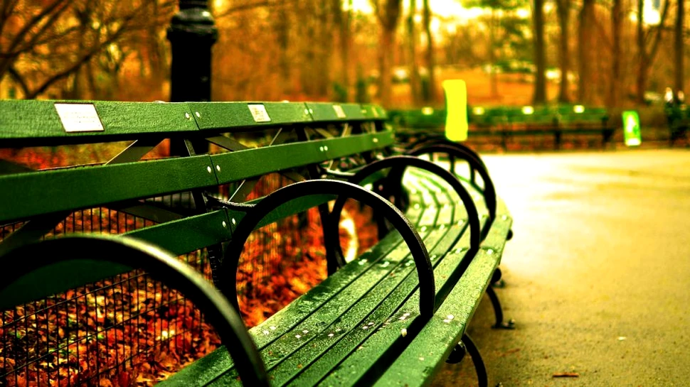 Prognoza meteo pentru următoarele săptămâni: Temperaturile vor fi mai ridicate decât cele normale