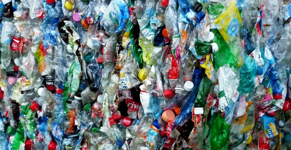 România, groapă de gunoi pentru alte state. 500 de tone de deşeuri din Anglia au fost aduse în ţară