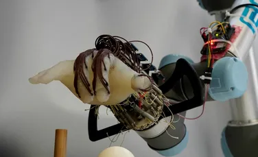 Cercetătorii au proiectat o mână robotică care poate prinde diverse obiecte