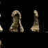 Un bumerang din colți de mamut, vechi de 40.000 de ani, este cel mai vechi din Europa și posibil din lume