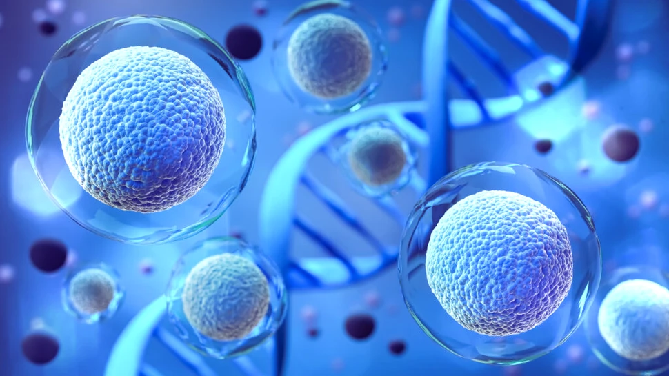 Cercetătorii dezvoltă o nouă tehnologie care ar putea dezvălui strămoșii cancerului