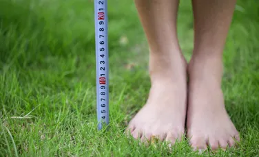 De ce americanii măsoară dimensiunile în „picioare” și alte părți ale corpului?