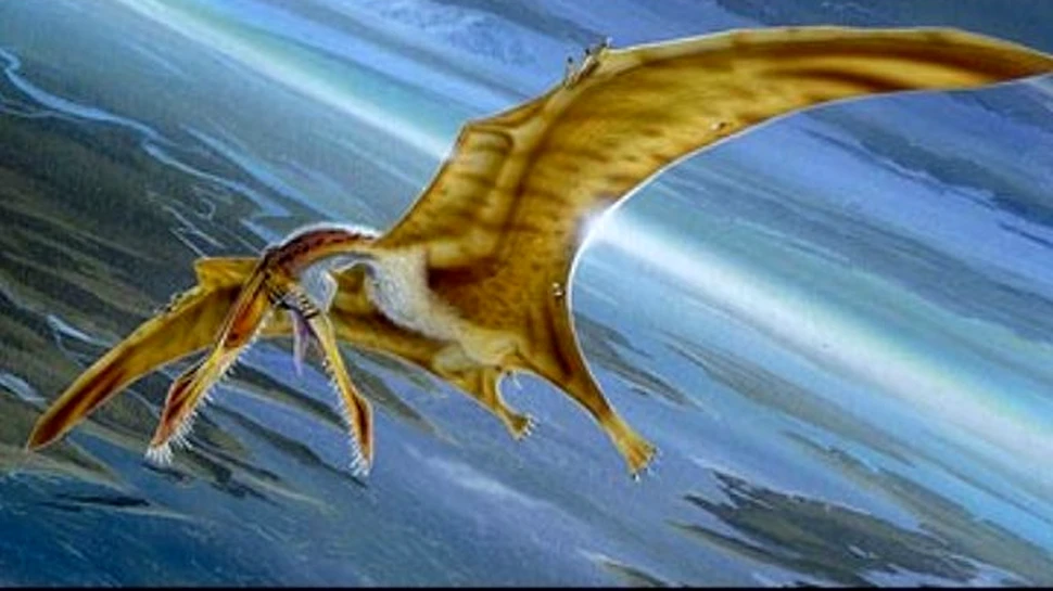 Pterodactilii erau prea grei pentru a zbura