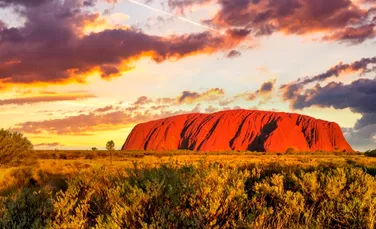 Unul dintre cele mai vechi animale ale Pământului, descoperit în pustietățile Australiei