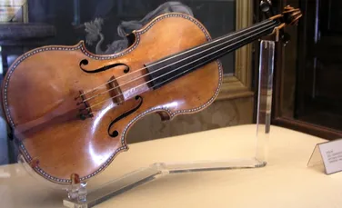 Rivala instrumentelor Stradivarius: vioara creată cu ajutorul ciupercilor