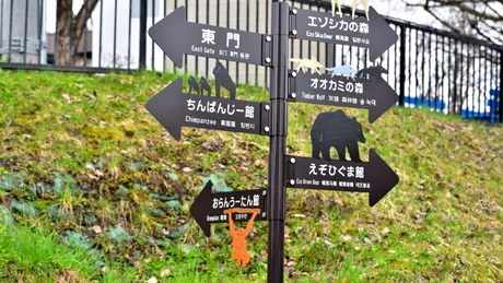 Un japonez și-ar fi ucis soția iar apoi ar fi incinerat-o la grădina zoologică unde lucrează
