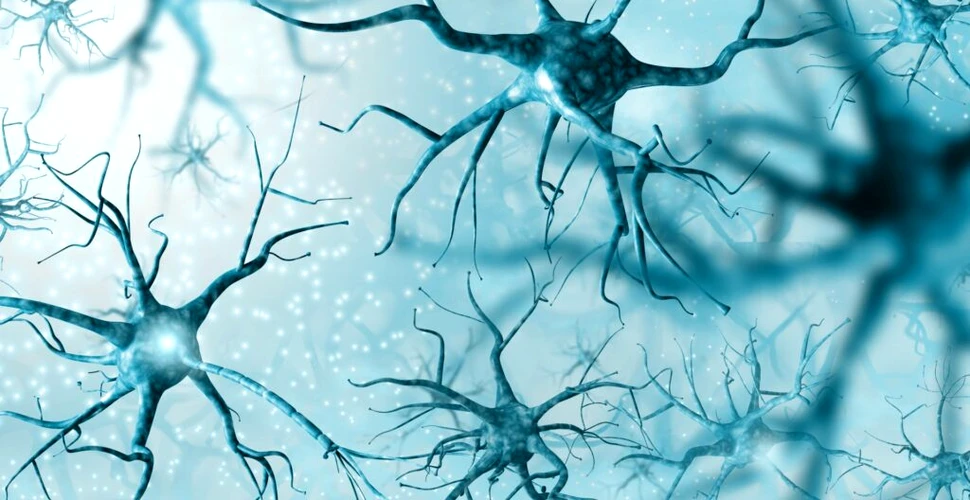Particule acoperite cu zahăr ar putea proteja neuronii de boala Alzheimer