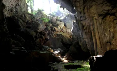 Cele mai vechi urme ale strămoșilor umani în drum spre Australia, descoperite într-o peșteră din Laos
