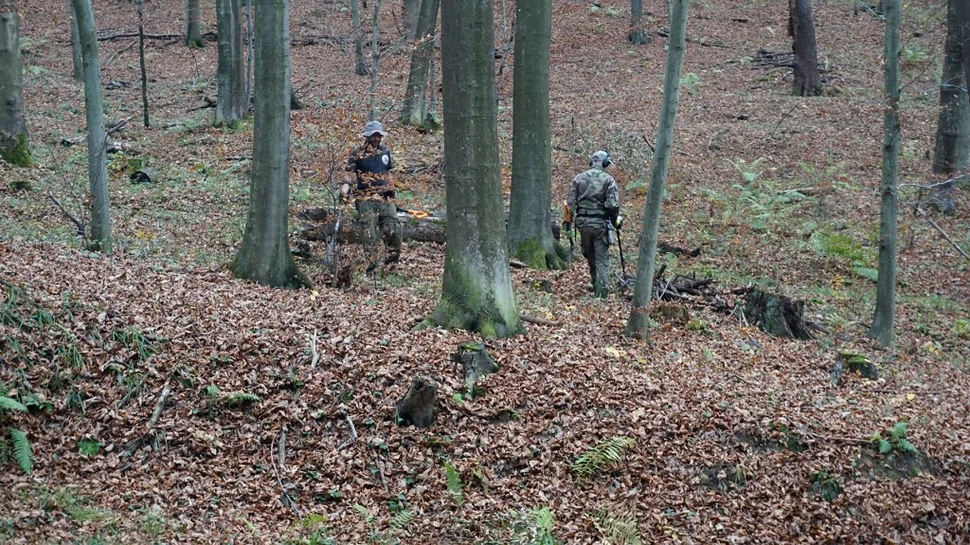 Săgeți din secolul XIV descoperite într-o pădure din Polonia