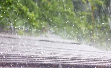 Cum ar putea fi apa de ploaie o armă secretă în lupta cu temperaturile extreme?