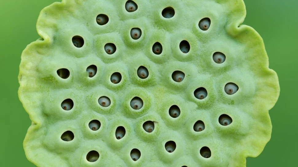 10 fobii ciudate care chiar există cu adevărat