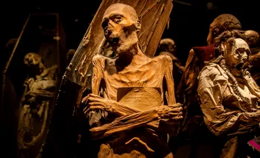 „Forme de viață” periculoase au fost descoperite pe mumii mexicane din anii 1800