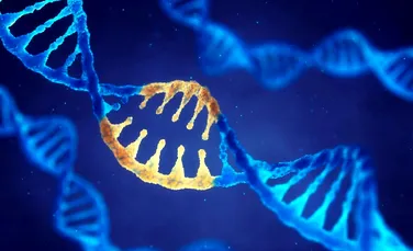 Originea codului genetic pentru toate formele de viață de pe Pământ, pusă la îndoială de un nou studiu