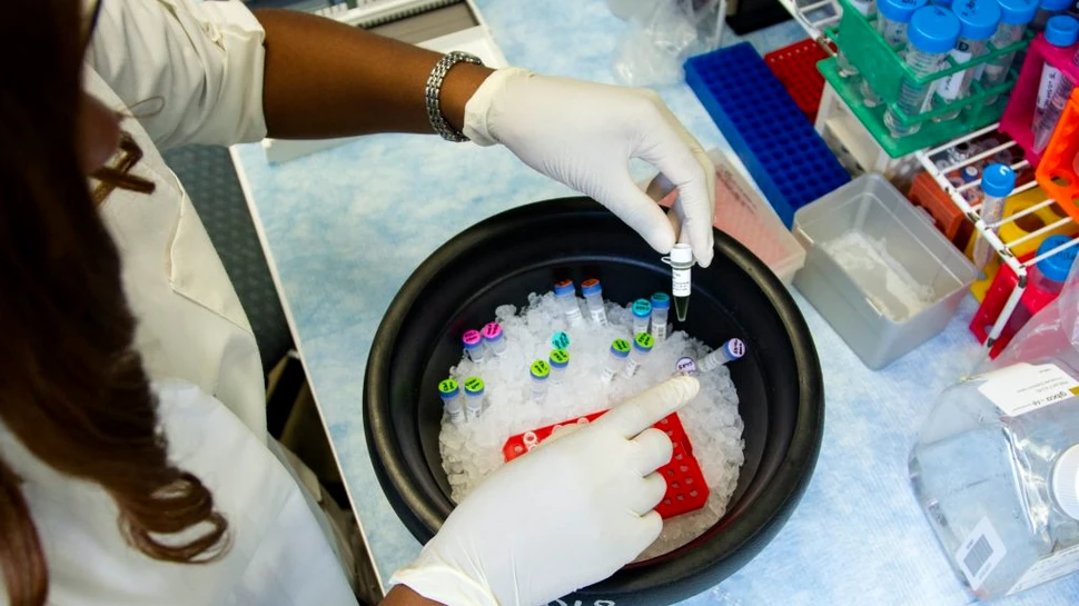 Cercetătorii au dezvoltat proteine antivirale care au putut inhiba SARS-CoV-2 în laborator