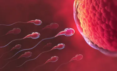 Numărul de spermatozoizi în rândul bărbaților din întreaga lume este în scădere