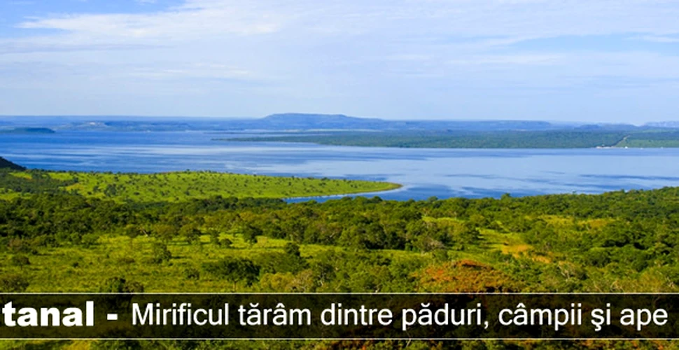 Pantanal – mirificul tărâm dintre păduri, câmpii şi ape