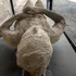 Erupția Vezuviului ar fi avut loc în august. Atunci de ce victimele din Pompeii purtau haine groase de lână?