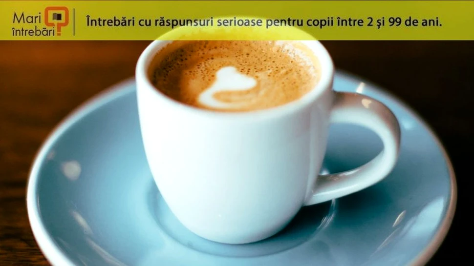 Cum ne trezește, de fapt, cofeina, cel mai folosit psihoactiv din lume?