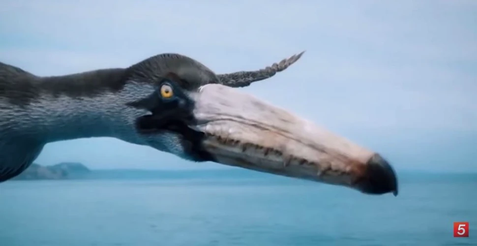 Păsări gigantice zburau deasupra Antarcticii în urmă cu 40-50 de milioane de ani