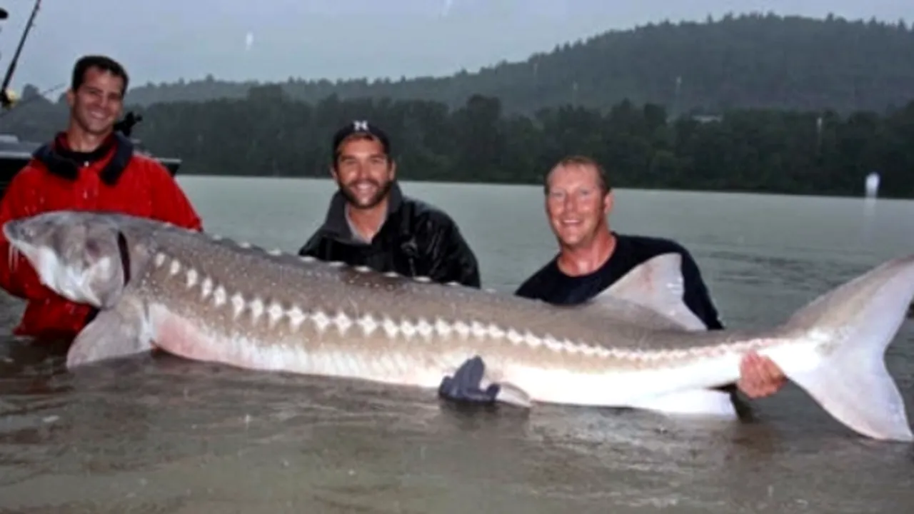 1-081112-biggest-fish-big 