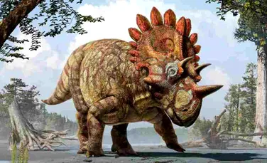 Fosilele unei noi specii de dinozaur, supranumit „Hellboy”, descoperite în Canada