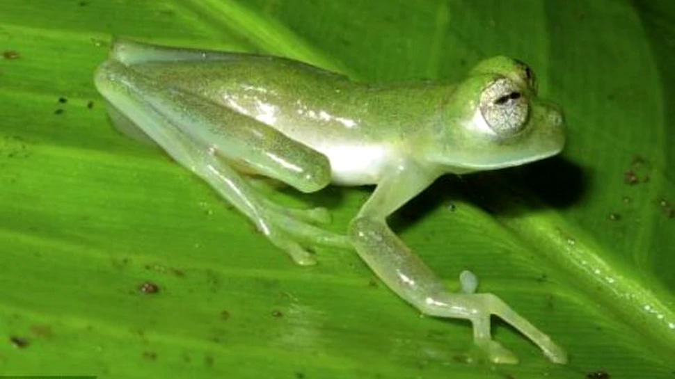 10 noi broaste pe altarul stiintei