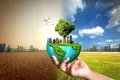 Efectele schimbărilor climatice persistă chiar și la stră-strănepoți, arată un nou studiu