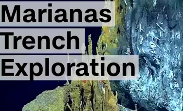Explorăm Groapa Marianelor. Proiectul inedit de cercetare care ilustrează viaţa creaturilor marine – FOTO+VIDEO