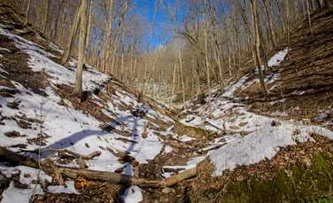 Cum va fi vremea în martie? Prognoza anunțată de ANM