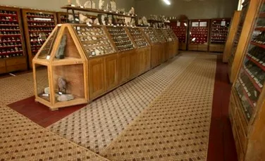 Mii de exponate, între care animale împăiate şi schelete vor pleca de la un muzeu de ştiinţe ale naturii din România către o parohie