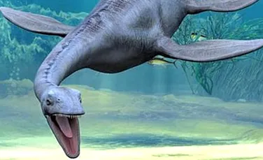 Acestea sunt fosilele Monstrului din Loch Ness?