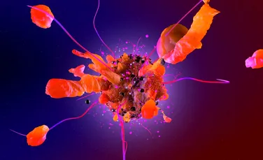 Gena responsabilă pentru unul dintre cele mai agresive tipuri de cancer, descoperită de cercetători