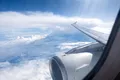 Urmele biologice rămase pe avioane. Cum identifică cercetătorii păsările pentru a preveni accidentele