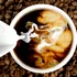 Fiecare ceașcă de cafea stimulează îmbătrânirea sănătoasă cu până la 5%, arată un studiu