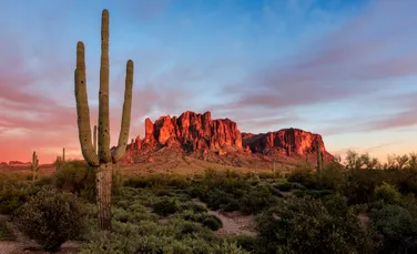 Noi specii din Triasicul târziu, scoase la lumină în statul american Arizona