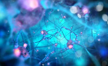 Oamenii de știință au creat o celulă cerebrală funcțională din sare și apă