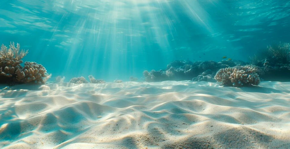 Test de cultură generală. Care este cel mai mare pește din ocean?