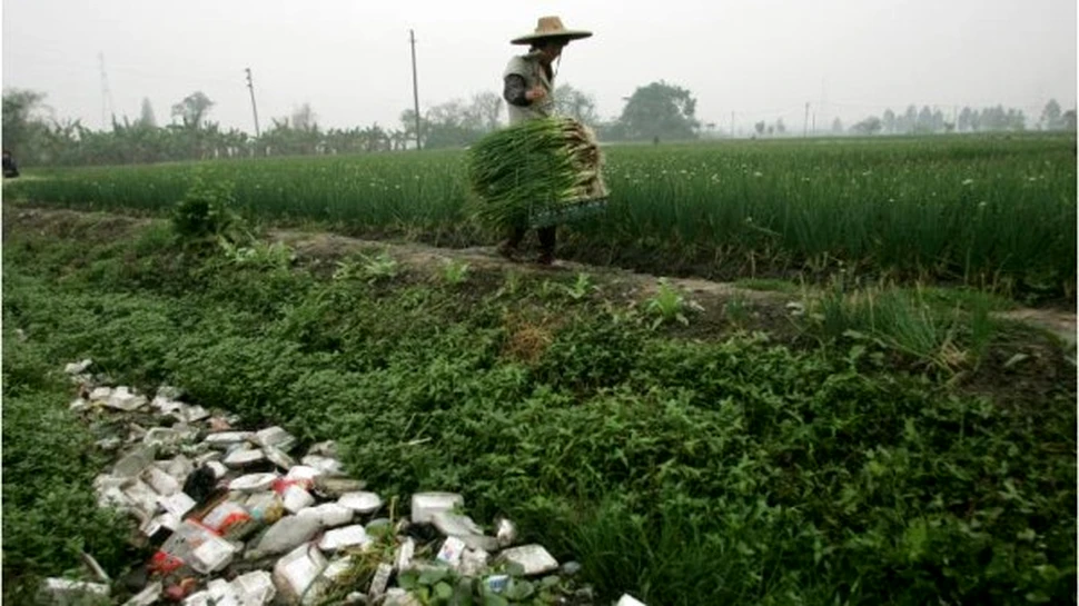 Pesticidele pot alimenta gandurile sinucigase