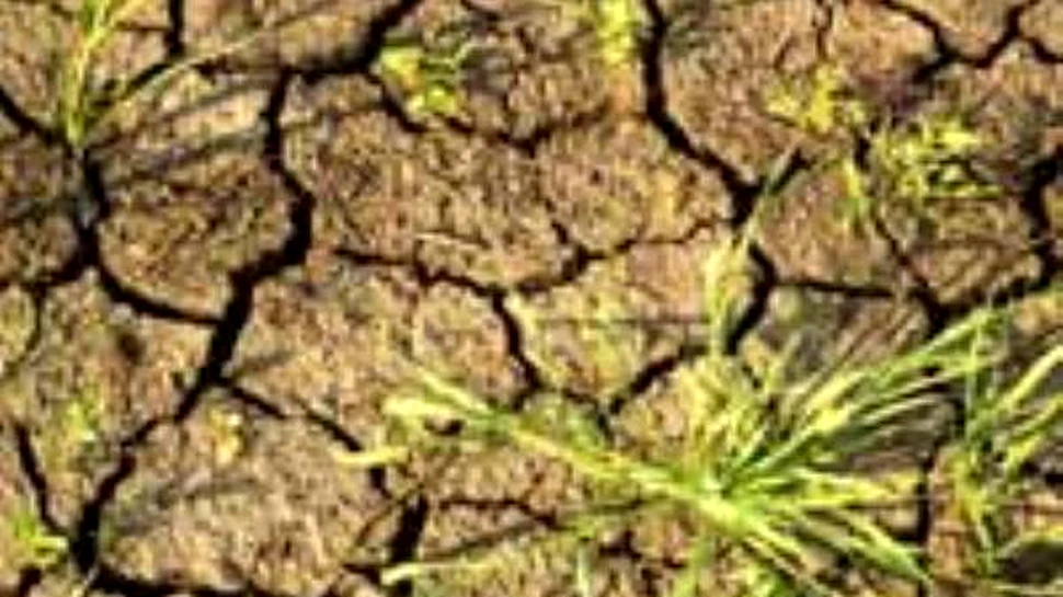 Criza apei va lovi pana in 2025