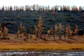 O nouă sursă de gaze cu efect de seră, descoperită în permafrostul siberian