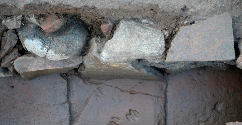 O clădire romană cu amprente neobișnuite a fost descoperită în Corsica
