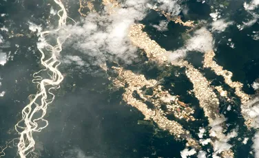 „Râuri de aur” curg prin pădurea amazoniană. Imagini impresionante dezvăluite de NASA