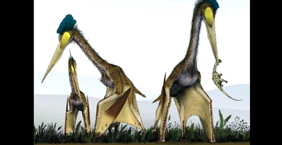 În România au fost descoperite fosilele unei reptile zburătoare contemporane cu dinozaurii