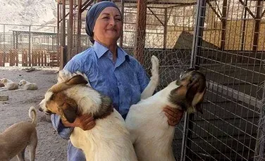 O româncă gestionează primul adăpost pentru câini abandonaţi din Iordania: „Nu e uşor”