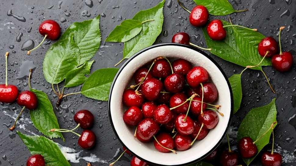 Cireșele dulci și închise la culoare ar putea ajuta la încetinirea cancerului mamar agresiv, sugerează un studiu efectuat pe șoareci