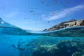 Oamenii antici ar fi navigat pe Mediterană în urmă cu 450.000 de ani