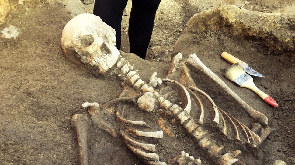 Un dinte uman vechi de 1,8 milioane de ani, descoperit de arheologii din Georgia
