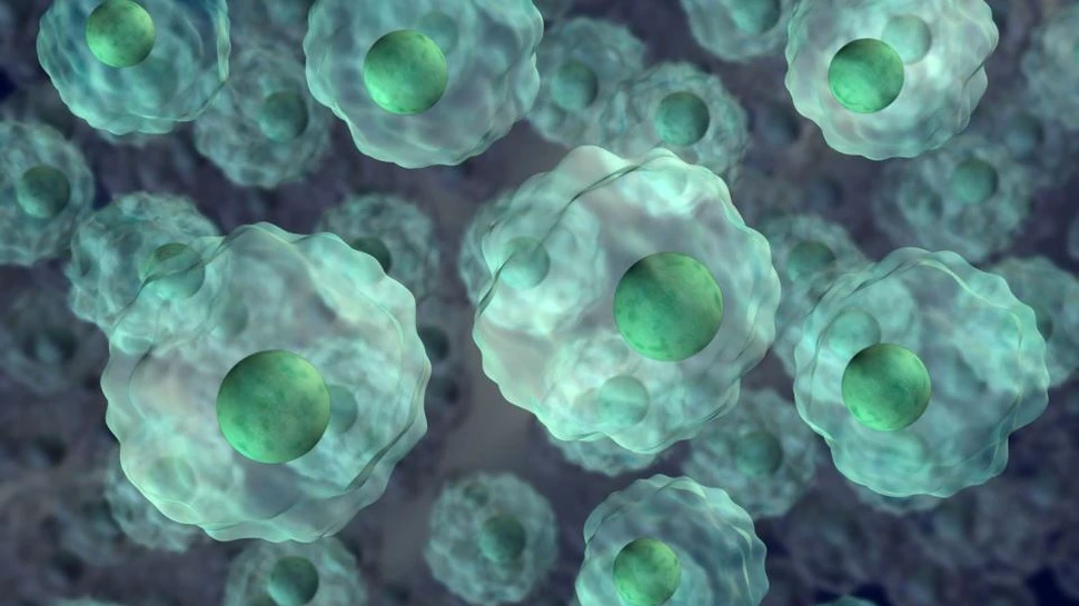 Inovaţie cu implicaţii extrem de mari: savanţii au programat bacterii pentru a realiza materiale de construcţii