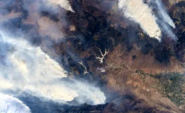 Astronauții de pe Stația Spațială Internațională, alarmați de incendiile de vegetație de pe Pământ